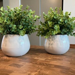 Pair of Faux Plants